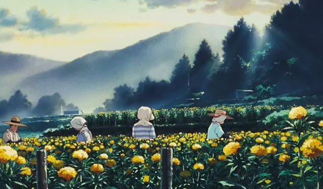 《岁月的童话》中摘红花的镜头