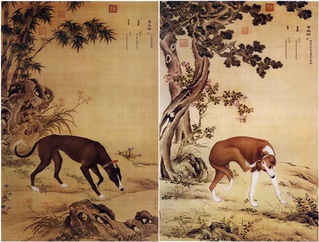 郎世宁,《十骏犬图》之墨玉璃、金翅猃