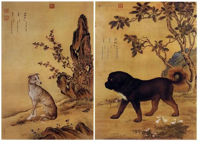 郎世宁,《十骏犬图》之斑锦彪、苍猊