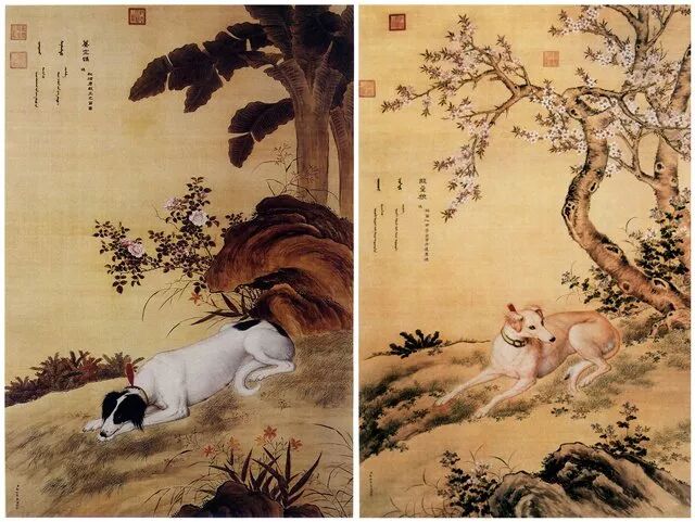 郎世宁,《十骏犬图》之蓦空鹊、睒星狼