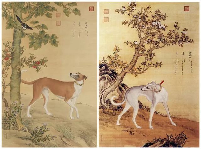 郎世宁,《十骏犬图》之茹黄豹、苍水虬