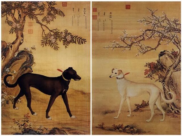 郎世宁,《十骏犬图》之雪爪卢、霜花鹞