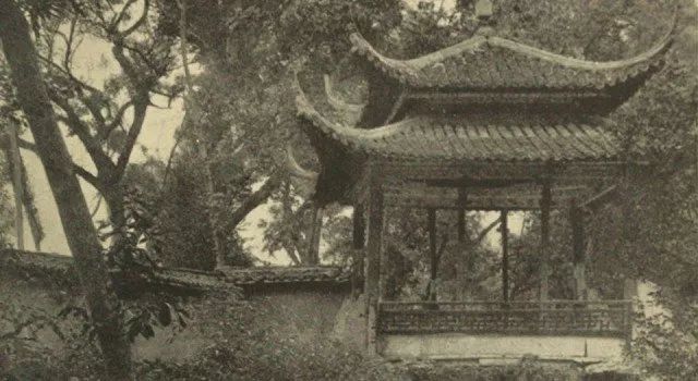 威廉·盖洛作品