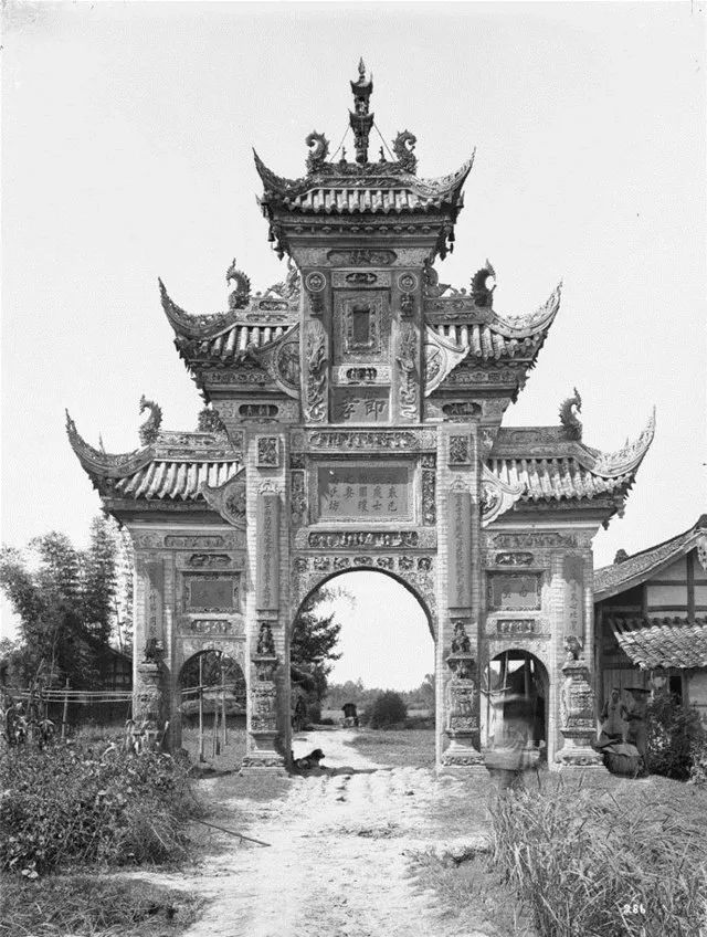 威尔逊作品