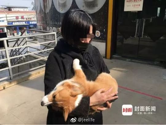小吴抱着狗狗的尸体