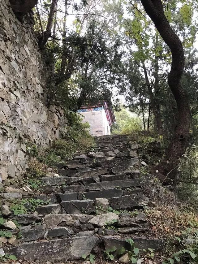 抬头看见静福寺山门