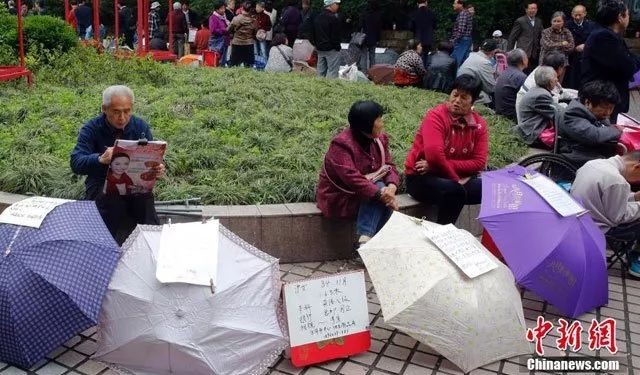 上海公园现相亲角父母“摆摊”为儿女相亲。中新网图片