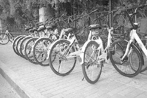 新闻图:占道单车