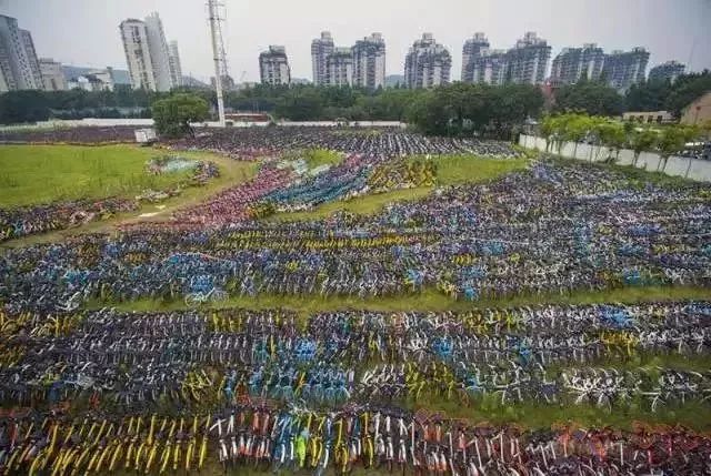 新闻图:共享单车停放场地