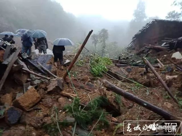 云南昭通泥石流致9人遇难8亩左右重楼种植基地被