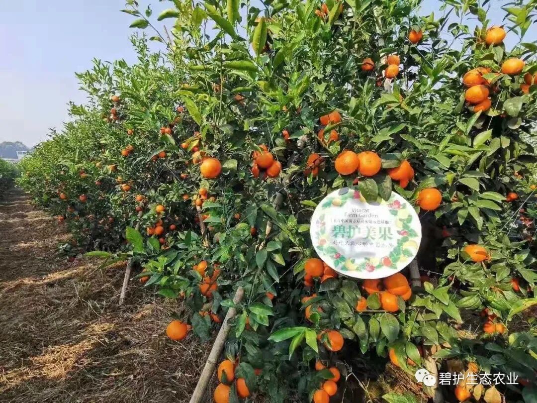 �̻���̬�ۺϼ������ֺø��ٿ����֡���