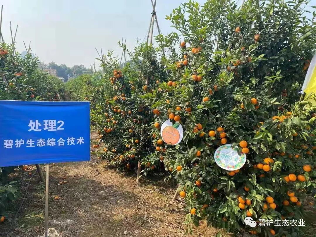 �̻���̬�ۺϼ������ֺø��ٿ����֡���