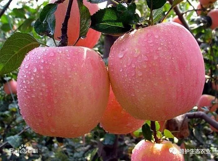 ����������|_�̻�����®ɽ����Դ��ƻ��