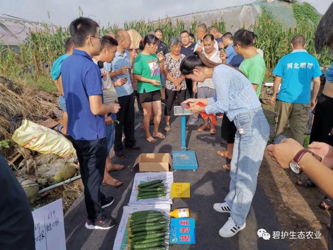 �ֳ����I_�ڵ����ƹ��Ƕ��յ�2.9����