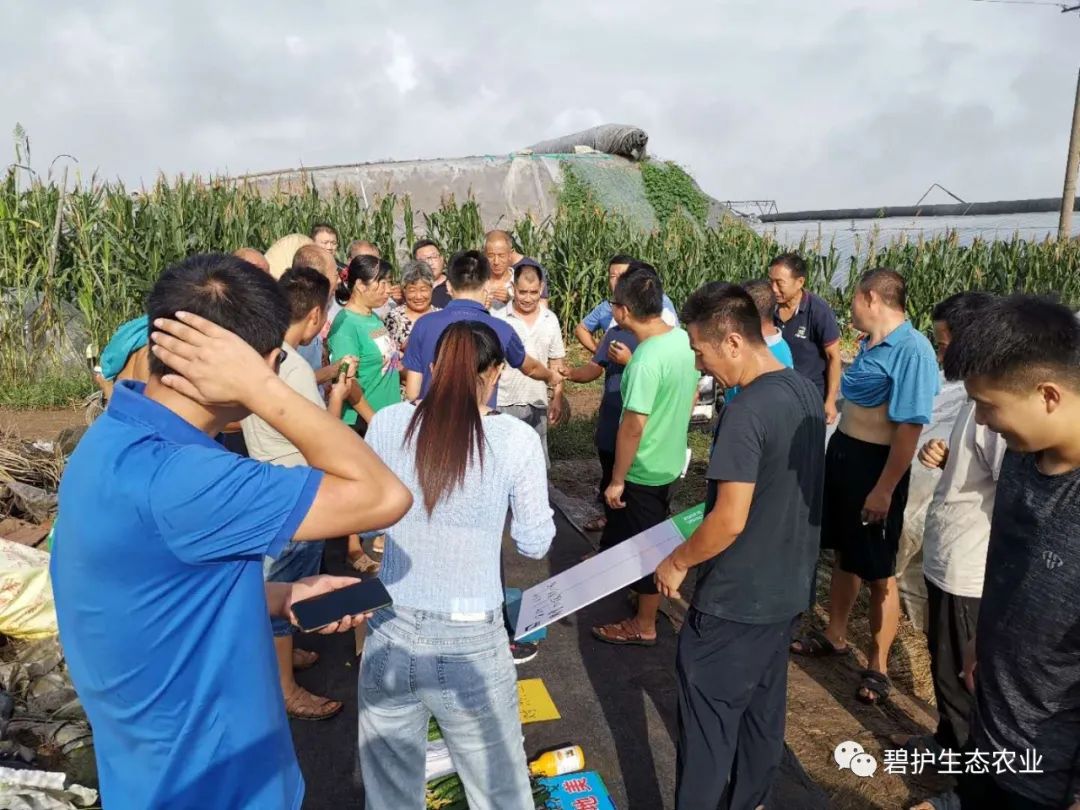 �ֳ����I_�ڵ����ƹ��Ƕ��յ�2.9����