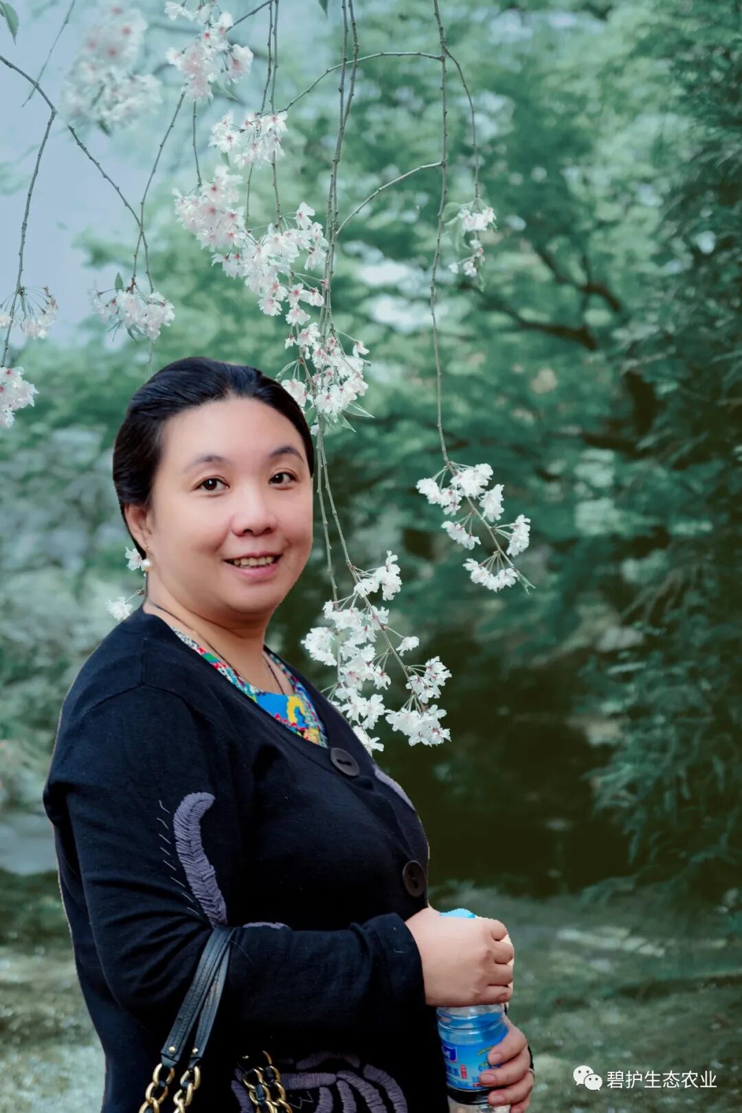 �̻���̬��ҵ��ʼ�˺��پ��ٻ�˫��֮�ǡ������ƺ�