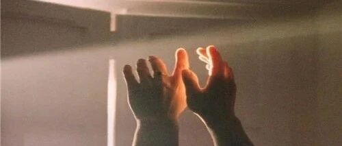 总有些坚韧的风骨，给予我们希望和力量