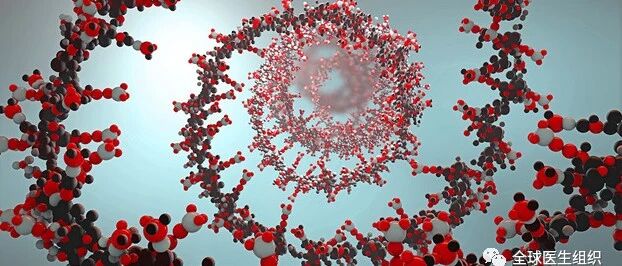 |必读|WHO终于验证了瑞德西韦治疗新冠肺炎无效