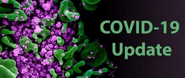 |必听|两位国际权威专家回顾新冠病毒疫情的那些事儿