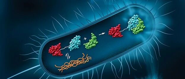 |必读|科学家们仍未解开“蛋白质沉积”综合症之谜