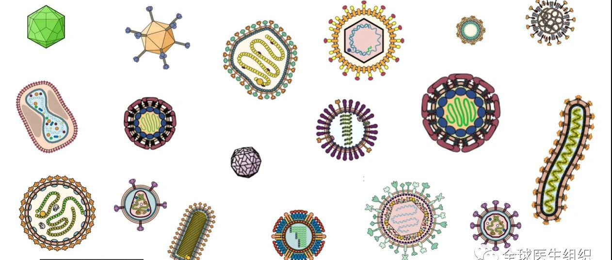 以色列真实世界数据显示Delta变异体躲过了疫苗