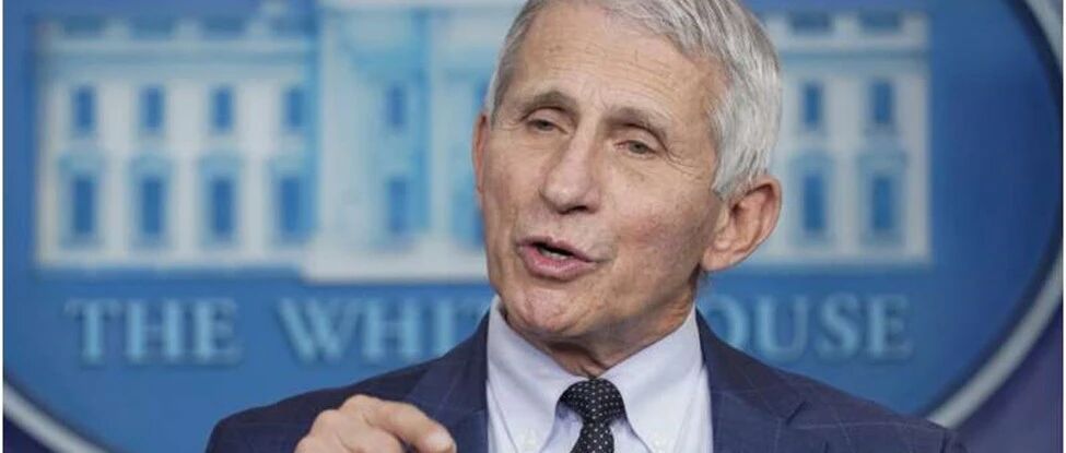 最新报告奥密克戎感染致病"让人们轻轻松了一口气"