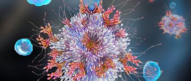 科学家终于发现为什么有人对新冠病毒有先天抵抗力?