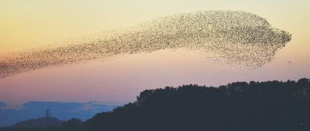 无法共享疾病诊疗数据和健康大数据，有解题答案吗？