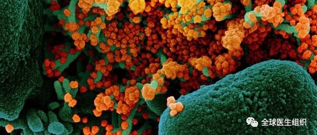 |必看|新冠病毒疫情影响癌症患者治疗和预防筛查