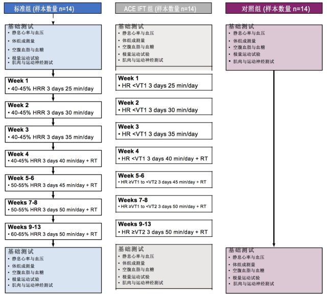 ACE IFT训练模式能否让训练变得更高效？-第5张图片-体能网
