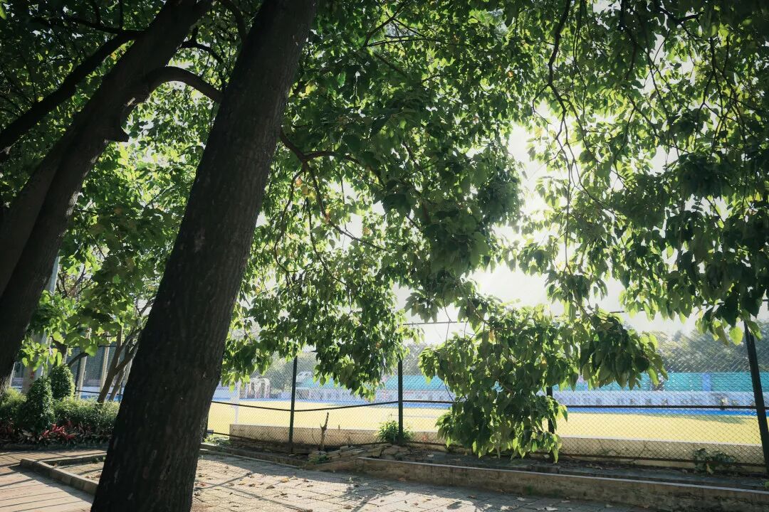 暨南大学study_暨南大学在哪_3.暨南大学