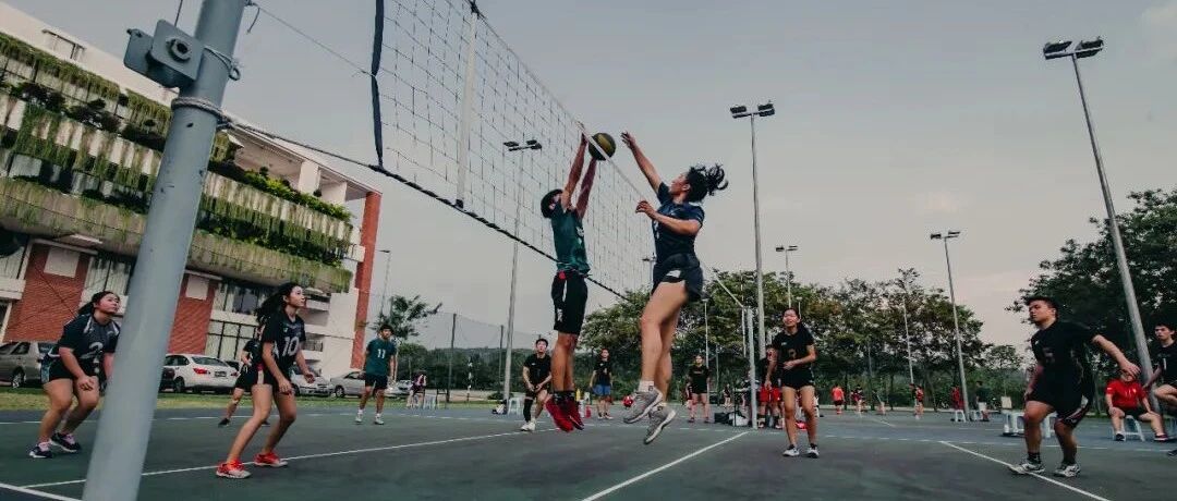 【排球教学】如何做出好的二传决策