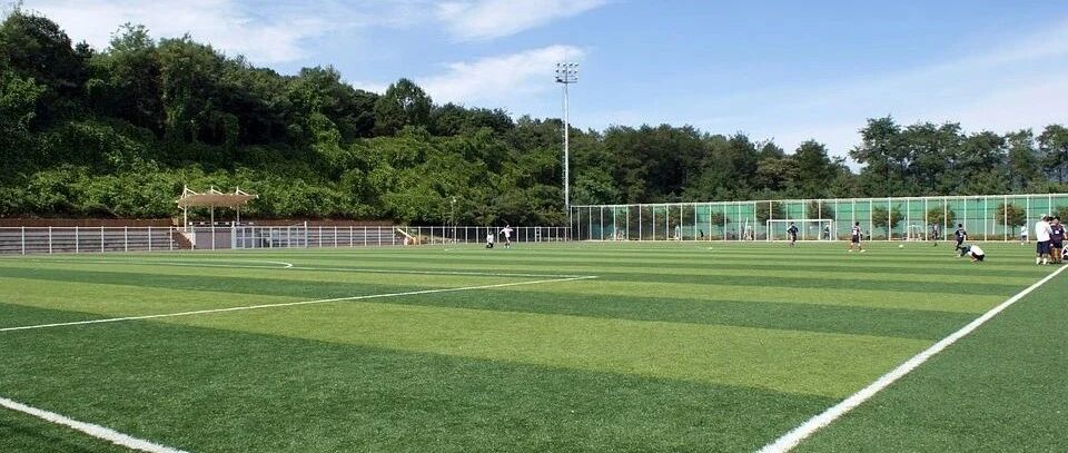 不妨让体育成为高考“自选项”