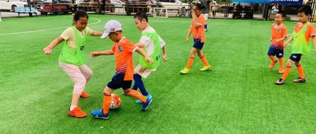 毛振明：青少年体质健康暑期随想