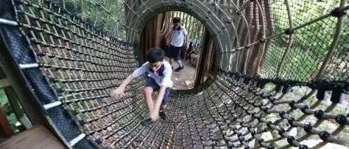 别的国家的孩子，是怎么上体育课的？看到新加坡我震惊了……