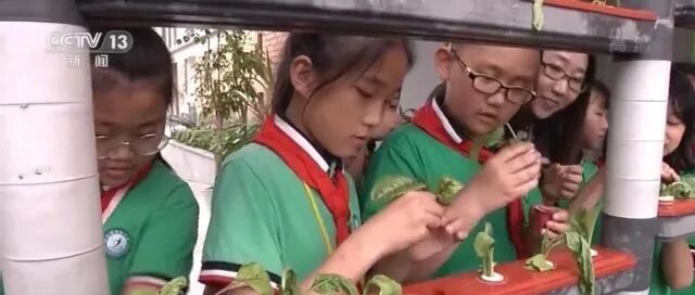 多地出妙招，把“课间十分钟”还给学生！
