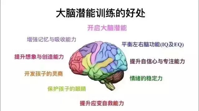 全脑教育--全球发展的趋势!