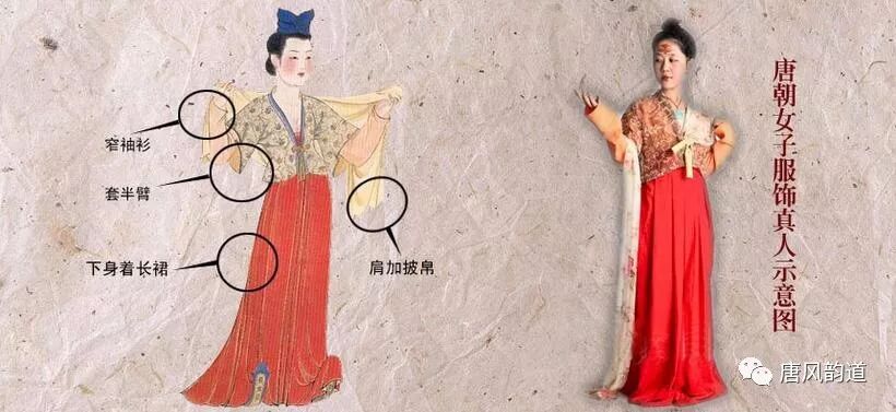 服饰 无限魅力的唐朝服饰衍变史 唐风韵道 微信公众号文章阅读 Wemp