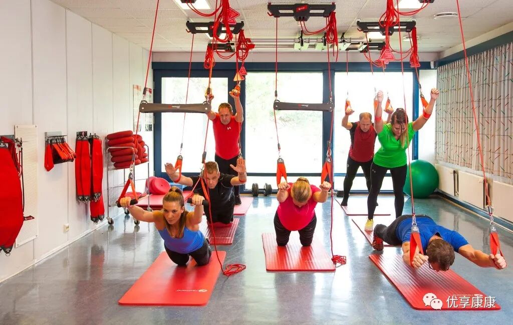悬吊训练系统 怎么装悬吊技术的历史、使用和临床运用，附上肢、躯干和下肢悬吊训练方法_https://www.jmylbn.com_新闻资讯_第41张