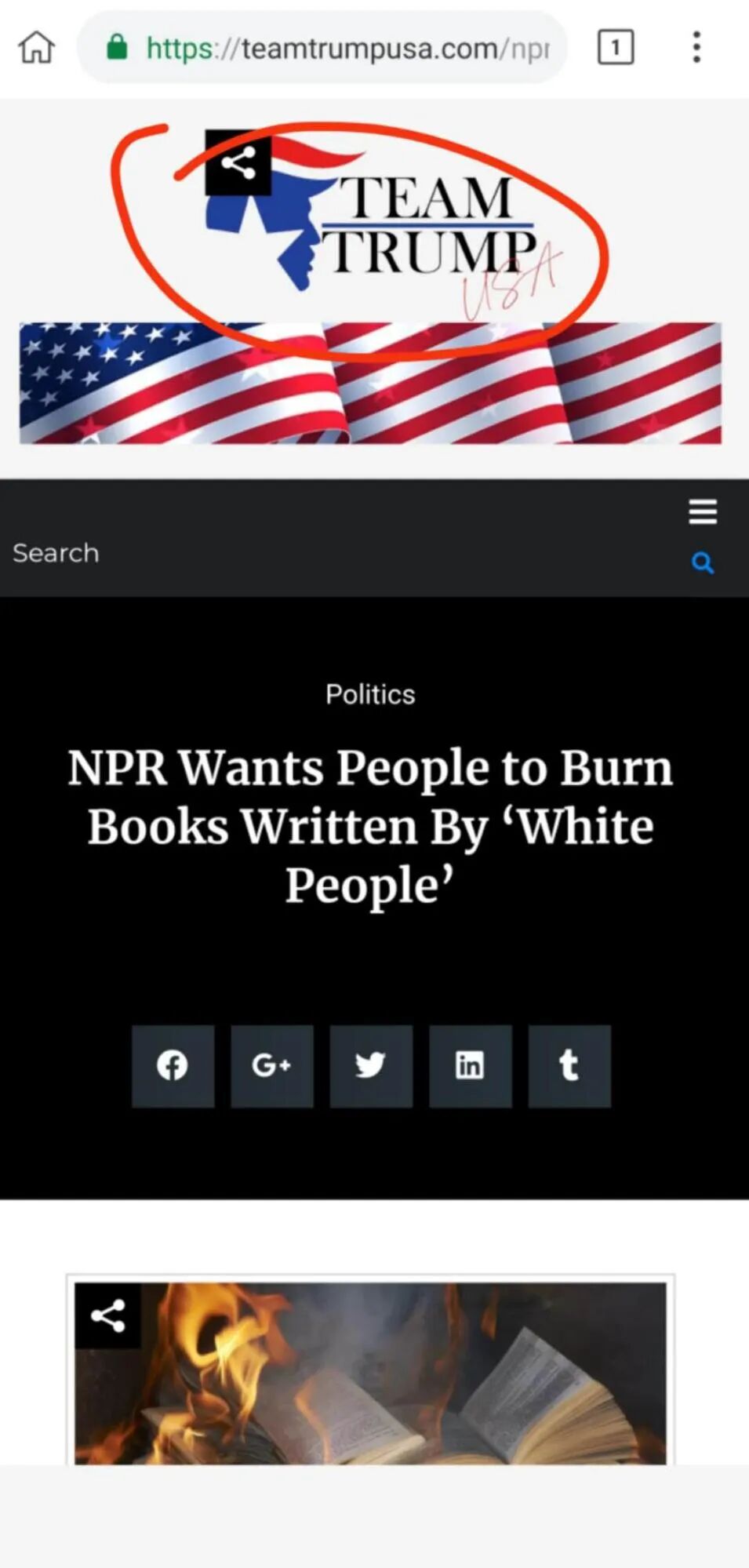 方舟子 袁腾飞从网红中学历史教师到右翼谣言传播者 第1页