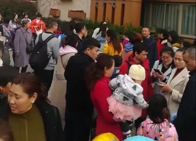 龙泉第一朵桃花开了。成都的春天，我想你