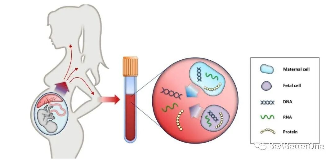 不建议做无创plus_无创建议做几项指标的_无创建议做基础班还是升级版