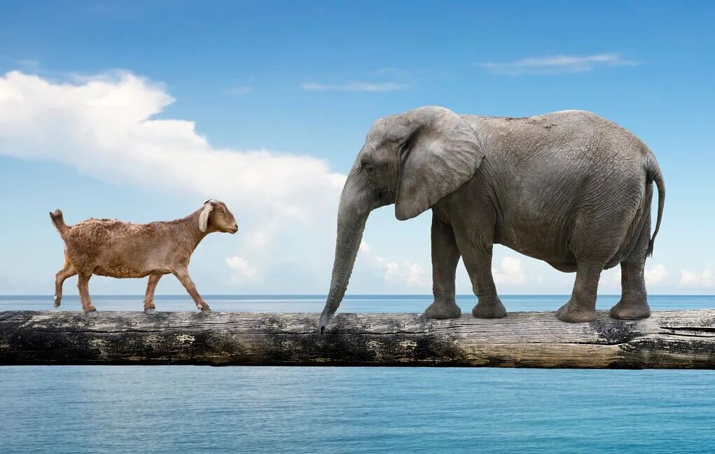 为什么他把阿托伐他汀，换成瑞舒伐他汀？因为药物之间会“打架”