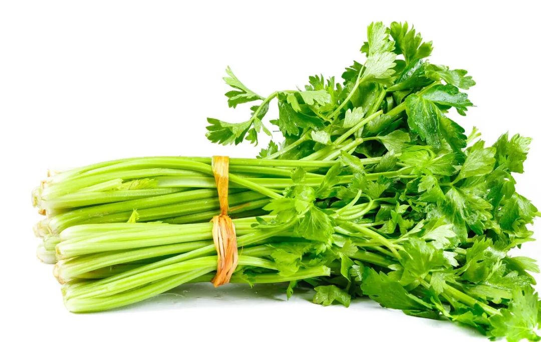 每天喝芹菜汁可以降血压吗