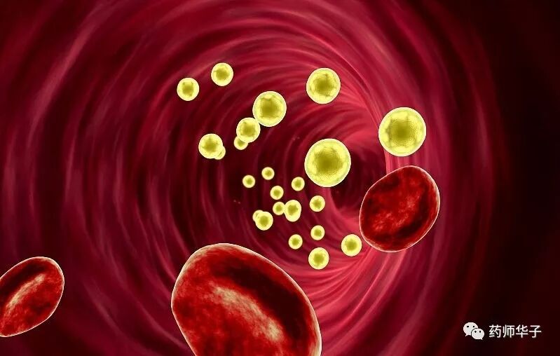 高血脂要多久才能降下来，不能吃什么食物，降脂药要吃多久？