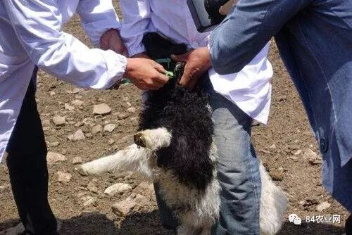 环保办厂创业好项目_新兴环保创业项目_环保农村创业项目