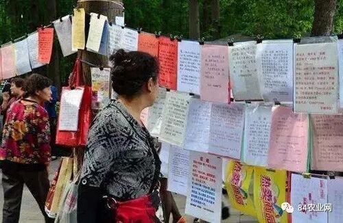 新兴环保创业项目_环保办厂创业好项目_环保农村创业项目