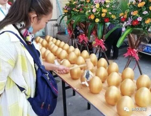 环保办厂创业好项目_新兴环保创业项目_环保农村创业项目