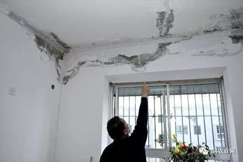 环保农村创业项目_新兴环保创业项目_环保办厂创业好项目