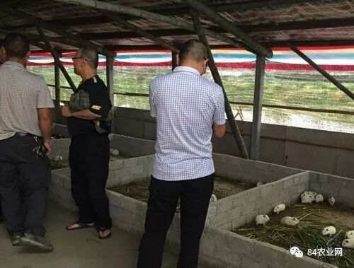 环保办厂创业好项目_环保农村创业项目_新兴环保创业项目